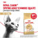 Корм Royal Canin для сфинксов (1-10 лет) Sphynx 33 400 г