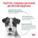 Ветеринарный корм Royal Canin для собак малых пород для контроля избыточного веса Satiety Weight Management Small Dog 1,5кг Ветеринарный корм Royal Canin для собак малых пород для контроля избыточного веса Satiety Weight Management Small Dog 1,5кг