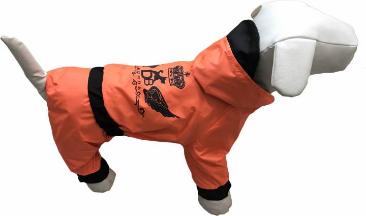 Одежда от дождя для собак