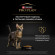 АКЦИЯ!!! Корм Purina Pro Plan для кастрированных/стерилизованных кошек Кролик 10 кг + 2 кг в ПОДАРОК! АКЦИЯ!!! Корм Purina Pro Plan для кастрированных/стерилизованных кошек Кролик 10 кг + 2 кг в ПОДАРОК!