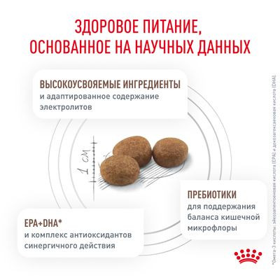 Ветеринарный корм Royal Canin для собак с ограниченным содержанием жиров для собак при нарушении пищеварения Gastro Intestinal Low Fat LF22 1,5 кг Ветеринарный корм Royal Canin для собак с ограниченным содержанием жиров для собак при нарушении пищеварения Gastro Intestinal Low Fat LF22 1,5 кг