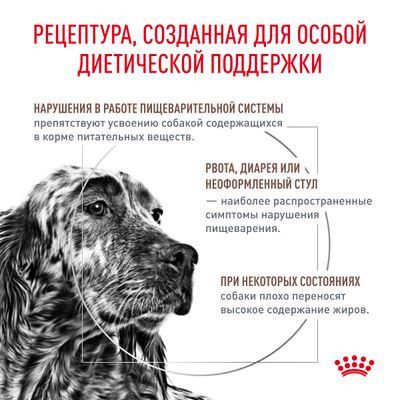 Ветеринарный корм Royal Canin для собак с ограниченным содержанием жиров для собак при нарушении пищеварения Gastro Intestinal Low Fat LF22 1,5 кг Ветеринарный корм Royal Canin для собак с ограниченным содержанием жиров для собак при нарушении пищеварения Gastro Intestinal Low Fat LF22 1,5 кг