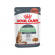 Влажный корм Royal Canin для кошек c чувствительным пищеварением (соус) Digestive Care 85 г Влажный корм Royal Canin для кошек c чувствительным пищеварением (соус) Digestive Care 85 г