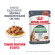 Влажный корм Royal Canin для кошек c чувствительным пищеварением (соус) Digestive Care 85 г Влажный корм Royal Canin для кошек c чувствительным пищеварением (соус) Digestive Care 85 г
