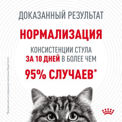 Влажный корм Royal Canin для кошек c чувствительным пищеварением (соус) Digestive Care 85 г Влажный корм Royal Canin для кошек c чувствительным пищеварением (соус) Digestive Care 85 г