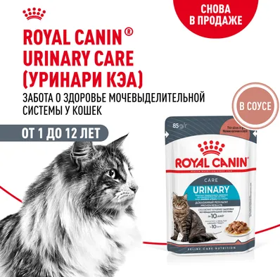 Влажный корм Royal Canin для кошек в целях профилактики мочекаменной болезни Urinary Care 85 г