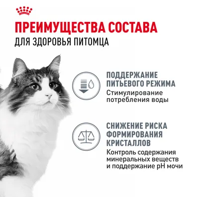 Влажный корм Royal Canin для кошек в целях профилактики мочекаменной болезни Urinary Care 85 г