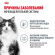 Влажный корм Royal Canin для кошек в целях профилактики мочекаменной болезни Urinary Care 85 г