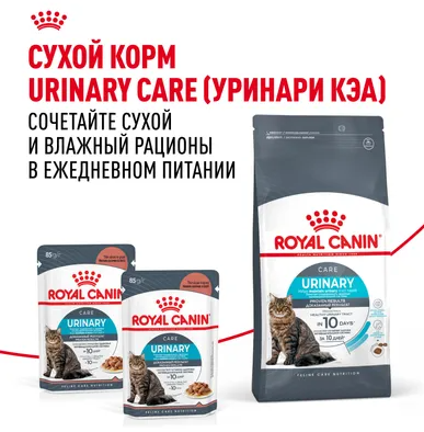 Влажный корм Royal Canin для кошек в целях профилактики мочекаменной болезни Urinary Care 85 г