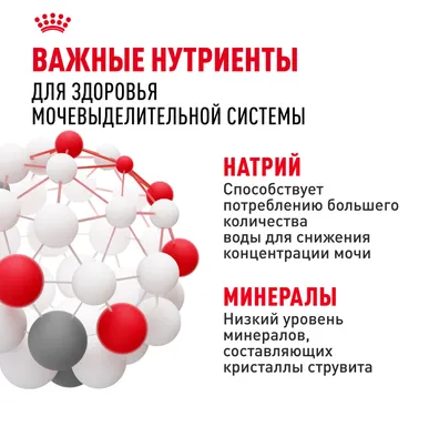 Влажный корм Royal Canin для кошек в целях профилактики мочекаменной болезни Urinary Care 85 г