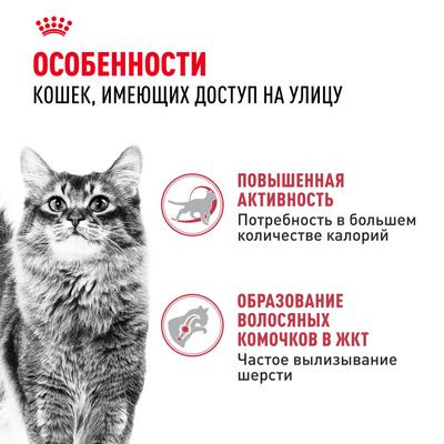 Корм Royal Canin для активных кошек (1-7 лет) Fit 32 2 кг