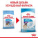 Корм Royal Canin для щенков очень крупных пород с 8 до 18/24мес. Giant Junior 3,5 кг