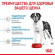Корм Royal Canin для щенков очень крупных пород с 8 до 18/24мес. Giant Junior 3,5 кг