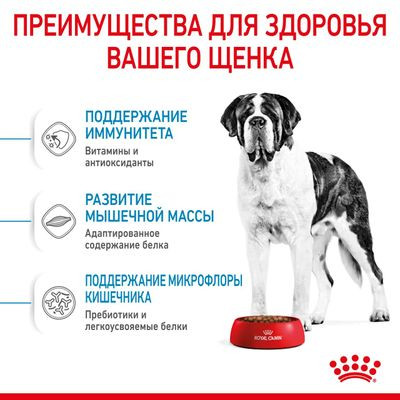 Корм Royal Canin для щенков очень крупных пород с 8 до 18/24мес. Giant Junior 3,5 кг