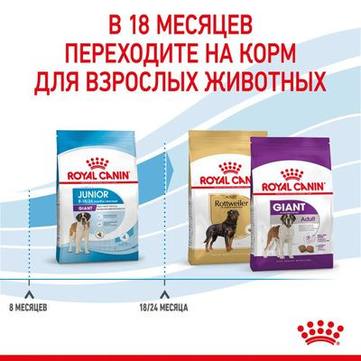 Корм Royal Canin для щенков очень крупных пород с 8 до 18/24мес. Giant Junior 3,5 кг