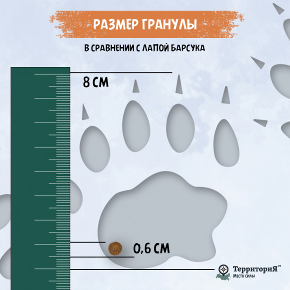 Корм ТерриториЯ Кавказ для щенков мелких пород Индейка с морошкой 800 г Корм ТерриториЯ Кавказ для щенков мелких пород Индейка с морошкой 800 г