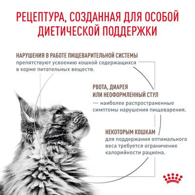 Ветеринарный корм Royal Canin для кошек Gastro Intestinal Moderate Calorie GIM-35 Диета при нарушении пищеварения с умеренным содержанием энергии 350 г Ветеринарный корм Royal Canin для кошек Gastro Intestinal Moderate Calorie GIM-35 Диета при нарушении пищеварения с умеренным содержанием энергии 350 г
