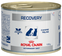 Ветеринарный влажный корм Royal Canin Recovery Консервы для собак и кошек Диета в период анорексии, выздоровления 195гр