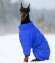 Комбинезон зимний для собак  OSSO 65-1 (кобель) синий