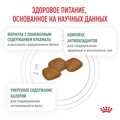 Ветеринарный корм Royal Canin для собак с сахарным диабетом Diabetic DS 37 1,5 кг