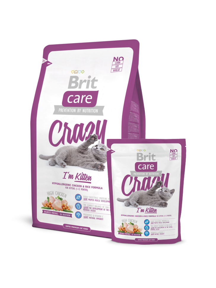 Супер премиум корма для котят. Сухой корм Brit Care Cat. Brit Care корм для котят. Корм Brit суперпремиум для кошек. Brit Care Kitten Chicken сухой корм.