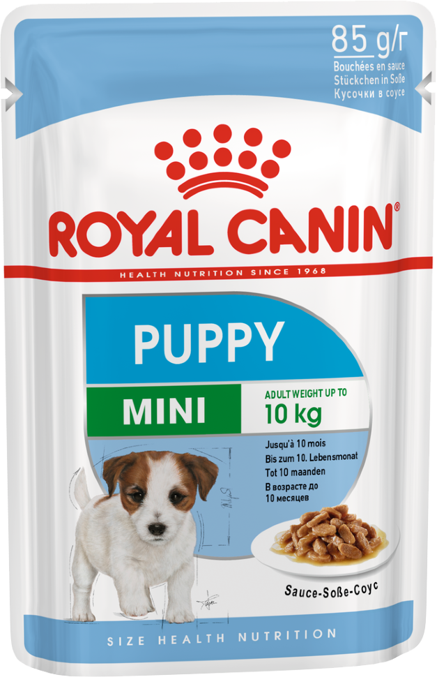 Роял канин паппи для щенков мелких. Роял Канин Джайнт стартер. Royal Canin Mini Starter. Роял Канин Медиум Паппи 14 кг. Роял Канин Джайнт Паппи для щенков.