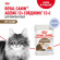 Влажный корм Royal Canin для кошек старше 12 лет Ageing 12+ в желе 85 г Влажный корм Royal Canin для кошек старше 12 лет Ageing 12+ в желе 85 г