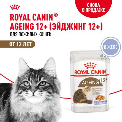 Влажный корм Royal Canin для кошек старше 12 лет Ageing 12+ в желе 85 г Влажный корм Royal Canin для кошек старше 12 лет Ageing 12+ в желе 85 г