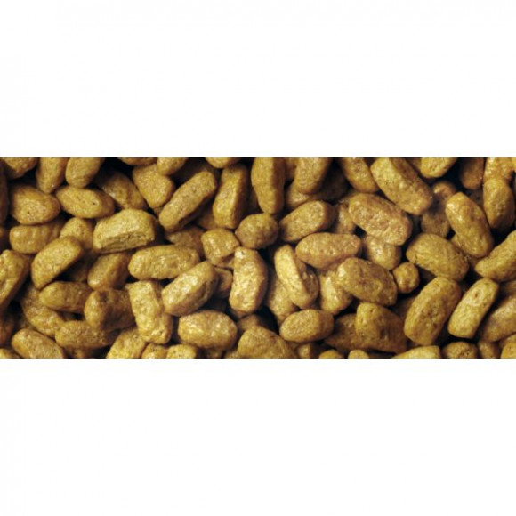 Корм Purina Pro Plan Sterilised RENAL PLUS для взрослых стерилизованных кошек для поддержания здоровья почек с индейкой, 400 г Корм Purina Pro Plan Sterilised RENAL PLUS для взрослых стерилизованных кошек для поддержания здоровья почек с индейкой, 400 г