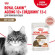 Влажный корм Royal Canin для кошек старше 12 лет Ageing 12+ в соусе 85 г Влажный корм Royal Canin для кошек старше 12 лет Ageing 12+ в соусе 85 г