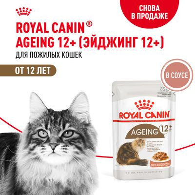 Влажный корм Royal Canin для кошек старше 12 лет Ageing 12+ в соусе 85 г Влажный корм Royal Canin для кошек старше 12 лет Ageing 12+ в соусе 85 г