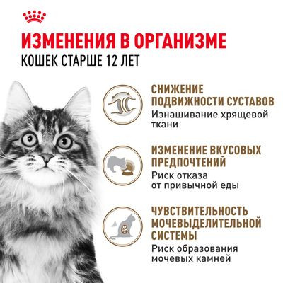Влажный корм Royal Canin для кошек старше 12 лет Ageing 12+ в соусе 85 г Влажный корм Royal Canin для кошек старше 12 лет Ageing 12+ в соусе 85 г