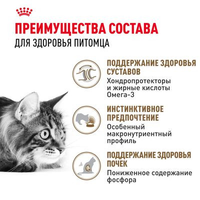 Влажный корм Royal Canin для кошек старше 12 лет Ageing 12+ в соусе 85 г Влажный корм Royal Canin для кошек старше 12 лет Ageing 12+ в соусе 85 г