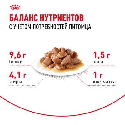 Влажный корм Royal Canin для кошек старше 12 лет Ageing 12+ в соусе 85 г Влажный корм Royal Canin для кошек старше 12 лет Ageing 12+ в соусе 85 г