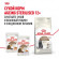 Влажный корм Royal Canin для кошек старше 12 лет Ageing 12+ в соусе 85 г Влажный корм Royal Canin для кошек старше 12 лет Ageing 12+ в соусе 85 г