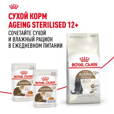 Влажный корм Royal Canin для кошек старше 12 лет Ageing 12+ в соусе 85 г Влажный корм Royal Canin для кошек старше 12 лет Ageing 12+ в соусе 85 г