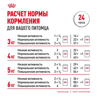 Влажный корм Royal Canin для кошек старше 12 лет Ageing 12+ в соусе 85 г Влажный корм Royal Canin для кошек старше 12 лет Ageing 12+ в соусе 85 г