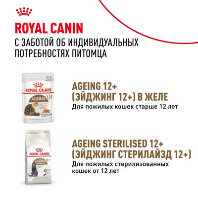 Влажный корм Royal Canin для кошек старше 12 лет Ageing 12+ в соусе 85 г Влажный корм Royal Canin для кошек старше 12 лет Ageing 12+ в соусе 85 г