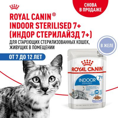 Влажный корм Royal Canin для стерилизованных кошек старше 7 лет Indoor Sterilised 7+ (желе) 85 г Влажный корм Royal Canin для стерилизованных кошек старше 7 лет Indoor Sterilised 7+ (желе) 85 г