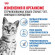Влажный корм Royal Canin для стерилизованных кошек старше 7 лет Indoor Sterilised 7+ (желе) 85 г Влажный корм Royal Canin для стерилизованных кошек старше 7 лет Indoor Sterilised 7+ (желе) 85 г