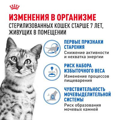 Влажный корм Royal Canin для стерилизованных кошек старше 7 лет Indoor Sterilised 7+ (желе) 85 г Влажный корм Royal Canin для стерилизованных кошек старше 7 лет Indoor Sterilised 7+ (желе) 85 г