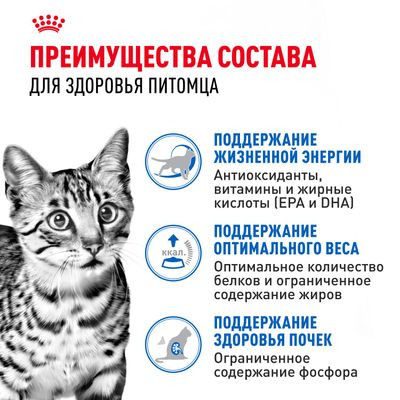 Влажный корм Royal Canin для стерилизованных кошек старше 7 лет Indoor Sterilised 7+ (желе) 85 г Влажный корм Royal Canin для стерилизованных кошек старше 7 лет Indoor Sterilised 7+ (желе) 85 г