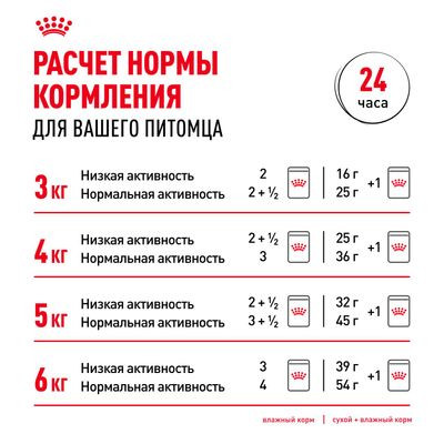 Влажный корм Royal Canin для стерилизованных кошек старше 7 лет Indoor Sterilised 7+ (желе) 85 г Влажный корм Royal Canin для стерилизованных кошек старше 7 лет Indoor Sterilised 7+ (желе) 85 г