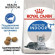 Корм Royal Canin Indoor 7+ для пожилых кошек в возрасте от 7 до 12 лет живущих в помещении 3.5кг