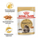 Влажный корм Royal Canin для мейн-кунов от 15мес. Maine Coon 85г