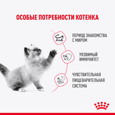 Влажный корм Royal Canin для стерилизованных котят c 6 до 12 мес Kitten Sterilised в желе 85 г