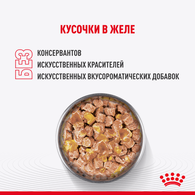 Влажный корм Royal Canin для стерилизованных котят c 6 до 12 мес Kitten Sterilised в желе 85 г