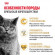 Корм Royal Canin для британских короткошерстных кошек (1-10 лет) British Shorthair 34 2 кг Корм Royal Canin для британских короткошерстных кошек (1-10 лет) British Shorthair 34 2 кг