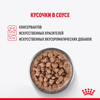 Влажный корм Royal Canin для стерилизованных котят c 6 до 12 мес Kitten Sterilised в соусе 85 г Влажный корм Royal Canin для стерилизованных котят c 6 до 12 мес Kitten Sterilised в соусе 85 г