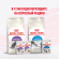 Влажный корм Royal Canin для стерилизованных котят c 6 до 12 мес Kitten Sterilised в соусе 85 г Влажный корм Royal Canin для стерилизованных котят c 6 до 12 мес Kitten Sterilised в соусе 85 г